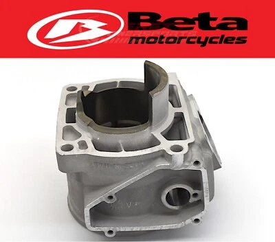 Cylinder Jug A 250RR/Race 18-19 300RR/Race/RX 18-22 (See Yr Notes) OEM Beta#Z363 - Image 1 of 4
