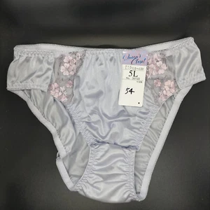 US SIZE 2XL SHINY NYLON TRICOT PANTIES from Japan - Picture 1 of 4