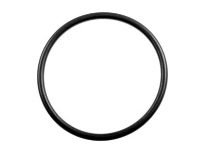 Уплотнительное кольцо для топливного бака GMC Yukon 1998-1999 годов выпуска переменного тока Delco 69522HQJH - Изображение 1 из 2