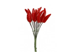 Pz 144 Peperoncino Rosso Pick 12 Cm Bomboniere Fai Da Te - Imagen 1 de 1