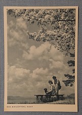 Old Postcard Card Photo Porst Nuremberg Kirschbaum Dog Lake