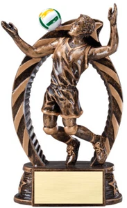 5.5" Volleyball Male Trophy Personalized Free - Picture 1 of 2