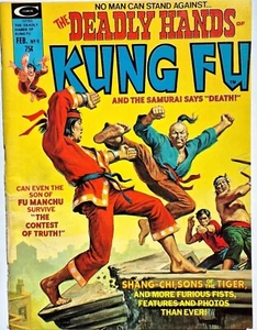 Deadly Hands of Kung Fu 9 1975 Marvel Magazine  - Picture 1 of 5