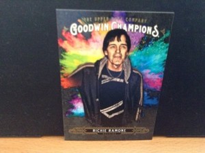 2018 Upper Deck Goodwin Champions Richie Ramone Musician Splash of Color SP