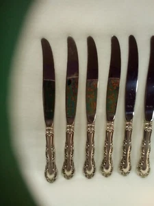 Set di sei coltelli da pranzo Wallace in argento sterling modello Irving 9 1/8" - Foto 1 di 9