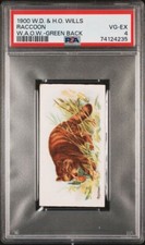 1900 Wills Wild Animals Of The World (Green Back) RACCOON PSA 4 VG-EX