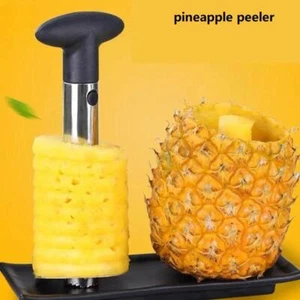 Stainless Steel Pineapple Peeler Core Extractor Pineapple Cutter Kitchen Tools - Picture 1 of 8