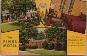 Postal de LOUISVILLE, Kentucky THE PINES MOTEL Highway 31/60 Roadside LINO - Imagen 1 de 2
