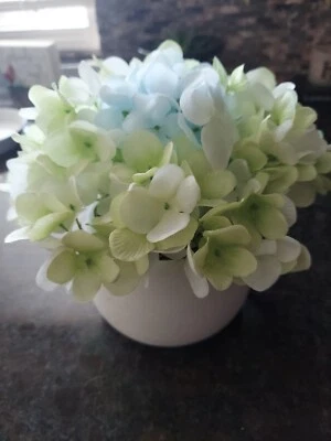 NATURES HAVEN MACETA DE CERÁMICA HORTENSIA CON FLORES SINTÉTICAS AZUL/BLANCO/VERDE Foto 1 de 3