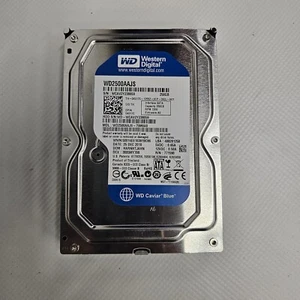 Unidad de escritorio Western Digital WD Caviar Blue 250 GB HDD 3,5" SATA II - WD2500AAJS - Imagen 1 de 2