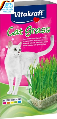 BESUCHE DEN VITAKRAFT-STORE Vitakraft Katzen Gras Set, Cat Grass, 1X 120G