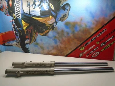 Suspensión horquilla delantera Suzuki RM 80 2000 00 RM80 86-01 Foto 1 de 4