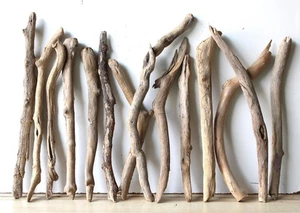 Treibholz Schwemmholz Driftwood  14 Äste Dekoration 41-54 cm **E14** - Bild 1 von 9