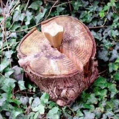 Steel Splitter Point Hammer Type Wedge Log Splitting Tool for Firewood Chopper - Image 1 of 2