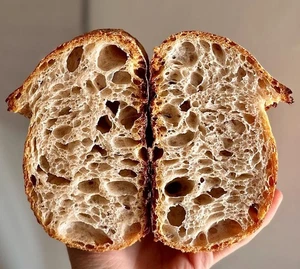 1000 year old ITALY Sourdough Starter - Camaldoli Monastery | Organic Dehydrated - Picture 1 of 11