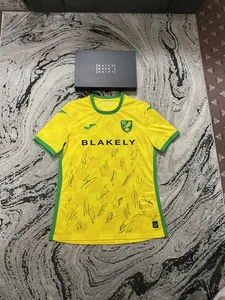 Norwich City FC Full Squad Signed Home Football Shirt 2024/25 With Coa Boxed - Picture 1 of 24