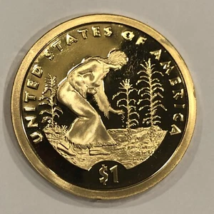 2009 S NATIVE AMERICAN- SACAGAWEA DOLLAR - PROOF - DIRECT FROM SET- GEM FREE 🚢 - Picture 1 of 2