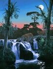 Rod FREDERICK « Lune tropicale » édition limitée imprimé rivière jaguar chasse Mexique