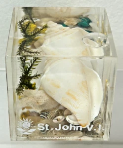 St. John Virgin Islands Souvenir Acrylic Lucite Paperweight Shells P3 - Picture 1 of 6