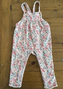 Sprout Girls Floral Pink Red Blue Lightweight Overalls ~ Size 1 - Picture 1 of 6