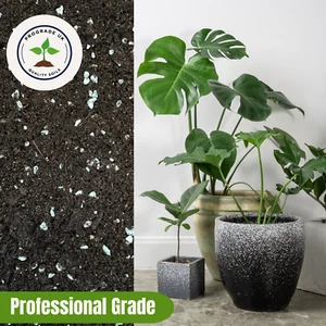 HOUSEPLANT COMPOST With Perlite - Specialist Potting Mix for Indoor Plants - Picture 1 of 6