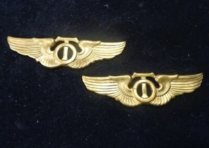 (2) Alas de Observador Técnico ERA DE VIETNAMITA - EJÉRCITO DE EE. UU. FUERZA AÉREA - Imagen 1 de 7