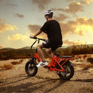 Axiniu 16" EBike Folding Electric Bicycle 750W Peak Motor Beach City Snow Ebike - Picture 1 of 12