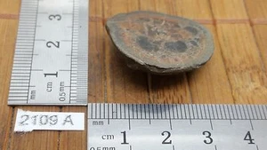 Moitié de nodule de SEPTARIA tranche naturel lithotherapie collection mineraux - Picture 1 of 1