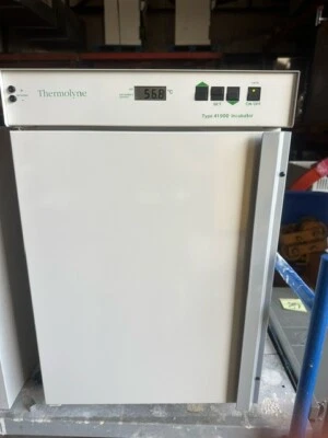 Incubadora Barnstead Thermolyne 141925 tipo 41900 17"x12"x12" interior Foto 1 de 4