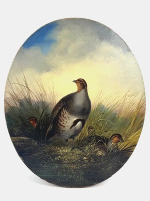 Gemälde Rebhuhn Vogel A. Rohlfs rechts unten signiert Berliner Jagdmaler 19. Jh. - Bild 1 von 4