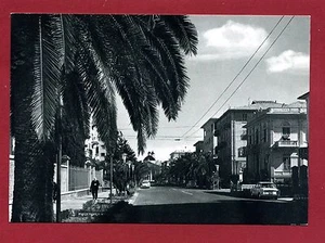 CARTOLINA-LIGURIA - GENOVA - CHIAVARI - VIALE DELLE PALME - Picture 1 of 1