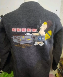 OSCAR PERDOMO FIGHTER PILOT ACE WW2 SWEATSHIRT SUPER GRAPHICS P 47 USA FLEECE S - Picture 1 of 6