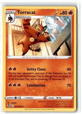 2022 Sword & Shield - Silver Tempest Torracat #31 Stage 1/Uncommon - Image 1 of 2