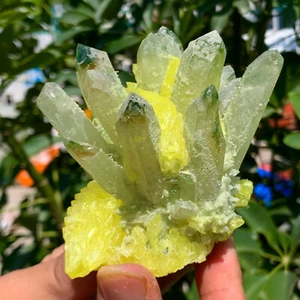 296G Nuevo Find Cuarzo Fantasma Verde con Racimo de Azufre Amarillo Muestra Mineral - Imagen 1 de 16