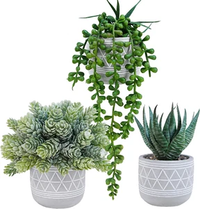 Set of 3 Mini Faux Succulent Potted Plants Artificial Aloe Hops String of Pearls - Picture 1 of 12