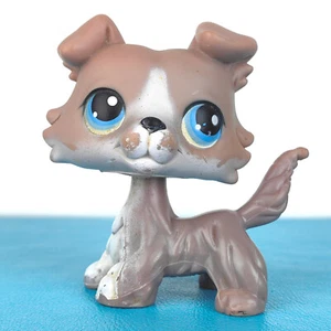 Authentic Littlest Pet Shop #67 Collie Dog / Original Hasbro LPS - Picture 1 of 4