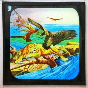 Antigua linterna mágica tobogán tigre - Imagen 1 de 1