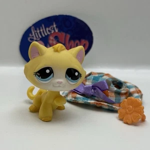 KITTEN CAT #1035 con accesorios - Auténtico Littlest Pet Shop - Hasbro LPS - Imagen 1 de 4