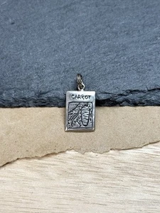 Sterling Silver Vegetable Gardening Charm 925 Carrot Seeds Dangle Pendant - Picture 1 of 3
