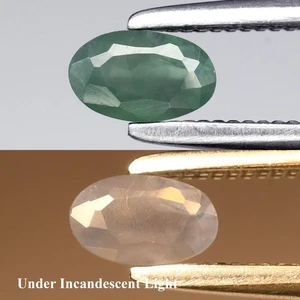 💎 0.30ct 5x3mm Oval Natural Green Alexandrite - Russia Gemstone - Picture 1 of 6