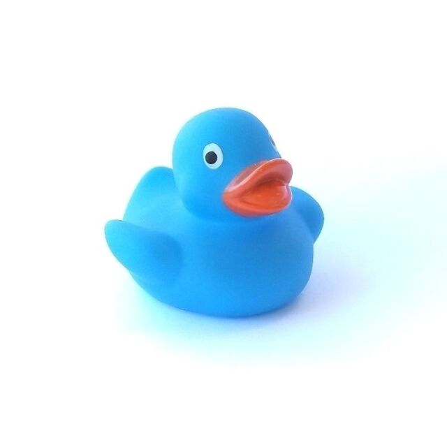 blue rubber duck products for sale | eBay