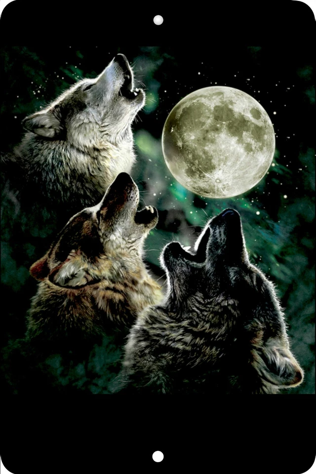 Волки, Луна, День рождения, Домашний Знак, Домашний Декор Металл Алюминий, США, Черный - Изображение 1 из 1