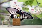3D Flowers Butterfly Self-Adhesive Removeable Wallpaper Wall Mural 321