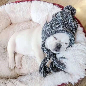 Knitting Soft Winter Pet Dog Hats Outdoor with Ear Holes Chihuahua Windproof - Picture 1 of 12