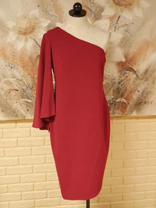 NWT ELEGANT CALVIN KLEIN SZ 10 CRANBERRY COLOR BUTTERFLY SLEEVE SHEATH DRESS - Picture 1 of 9