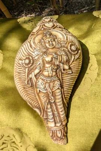 Riesiges einzigartiges Tibet. Muschel-Horn, Conch, Weiße Tara aus Tibet - Bild 1 von 6