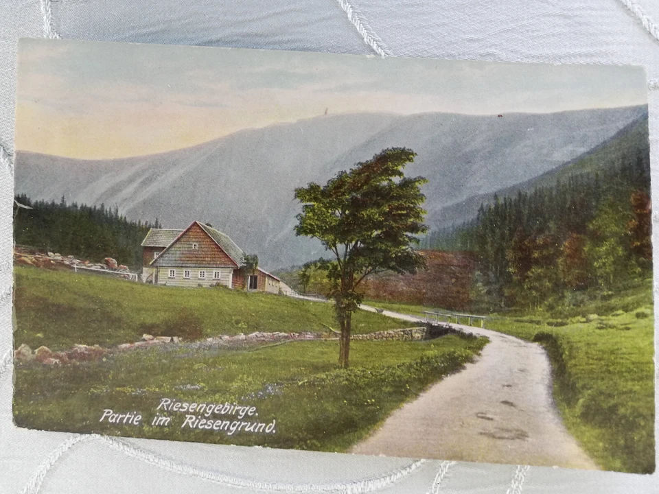 Riesengebirge. Partie im Riesengrund. Verlag Dr. Trenkler Co. Leipzig. 1908 - Bild 1 von 1