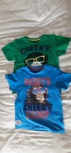 TU 2 X Slogan T-Shirts Blue/Green Age 4-5 Pet/smoke free home - Picture 1 of 6