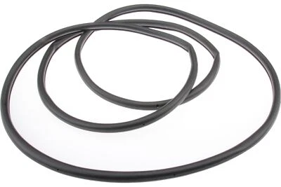 Sello de puerta delantero para BMW 540i 1997-2003 URO 1998 1999 2000 2001 2002 2003 Foto 1 de 4