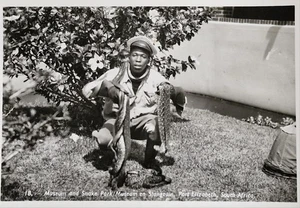 Museum And Snake Park, Port Elizabeth, South Africa, Vintage Postcard - Picture 1 of 2